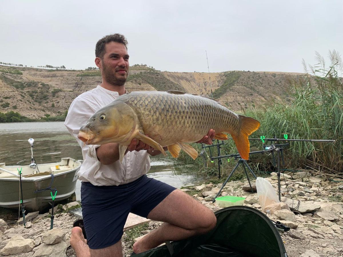 R U Ready Fishing, River Ebro Mequinenza Exterior photo